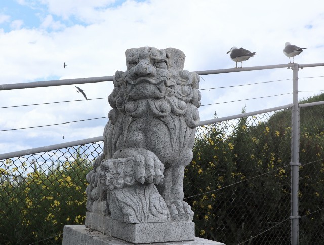 f:id:bluemoonbell:20220810075542j:image