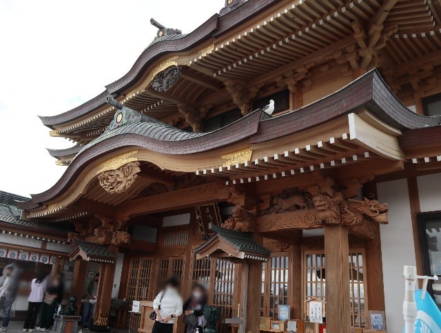 f:id:bluemoonbell:20220810080331j:image