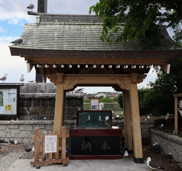 f:id:bluemoonbell:20220810080418j:image