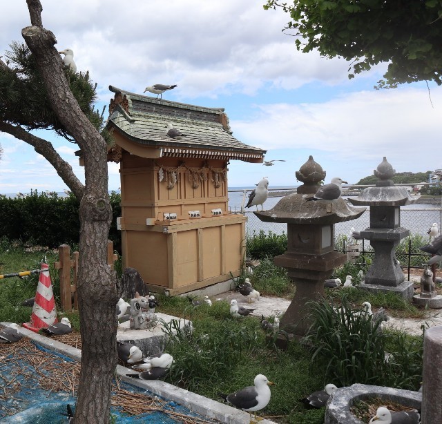 f:id:bluemoonbell:20220810080737j:image