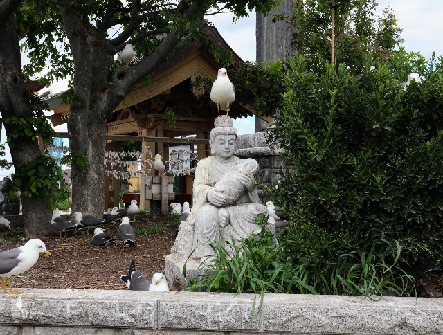 f:id:bluemoonbell:20220810080805j:image