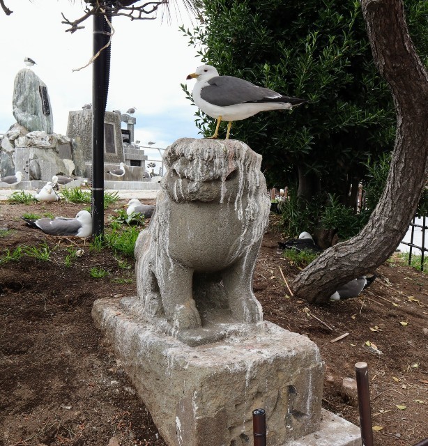 f:id:bluemoonbell:20220810080820j:image