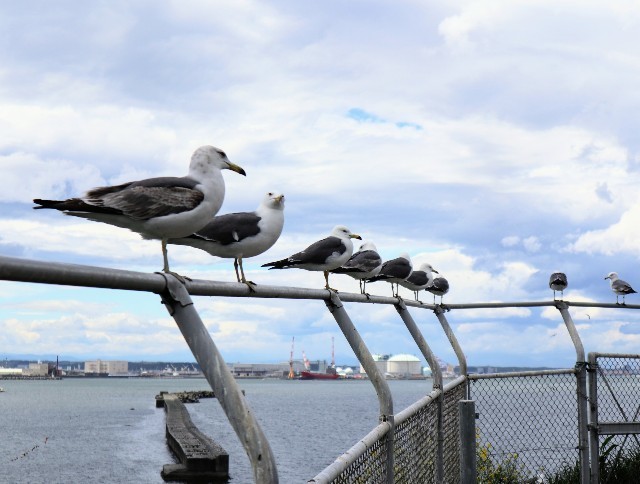 f:id:bluemoonbell:20220810080826j:image