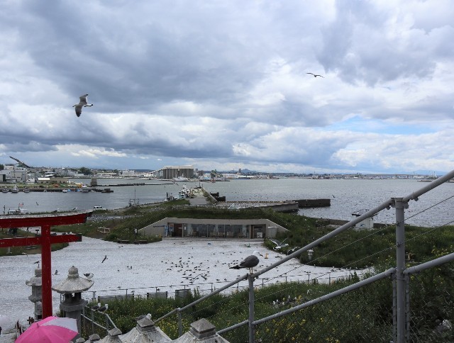 f:id:bluemoonbell:20220810080834j:image