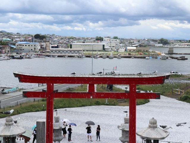 f:id:bluemoonbell:20220810080840j:image