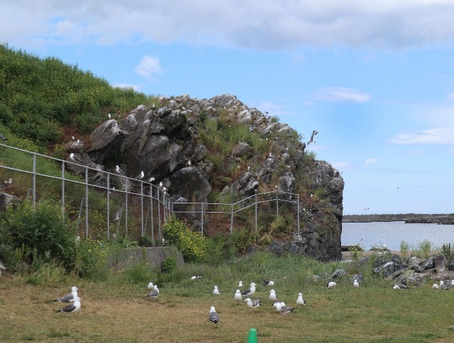 f:id:bluemoonbell:20220810080847j:image