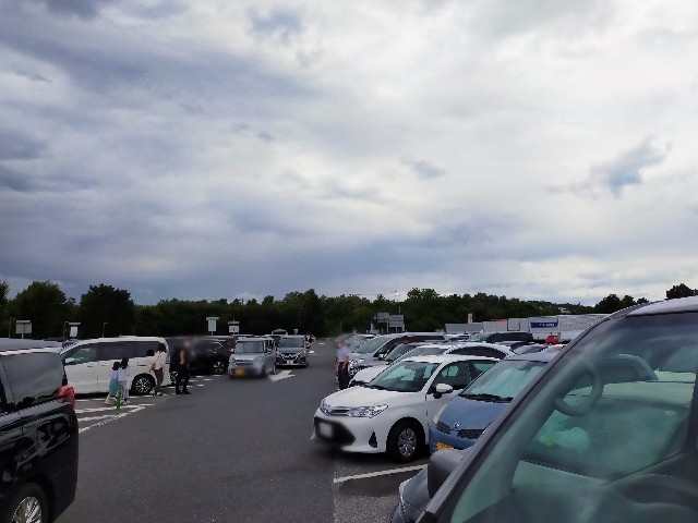 f:id:bluemoonbell:20220821213800j:image f:id:bluemoonbell:20220821213800j:image