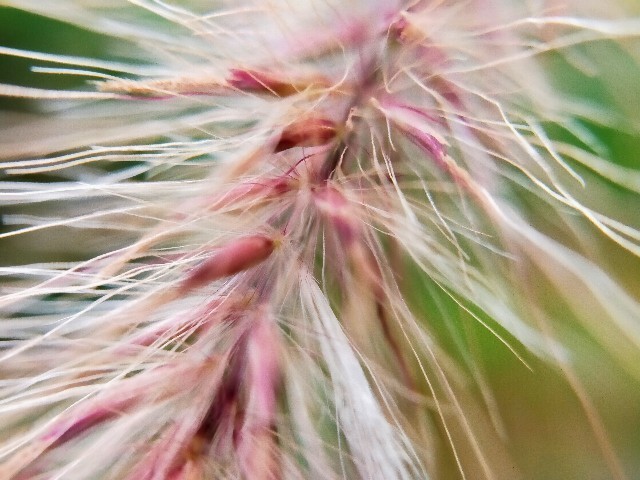 f:id:bluemoonbell:20220830102518j:image