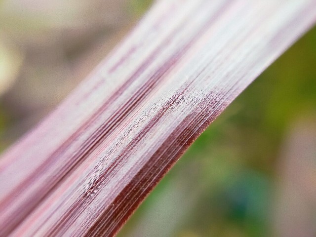 f:id:bluemoonbell:20220830102525j:image