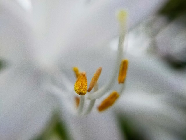 f:id:bluemoonbell:20220830102707j:image