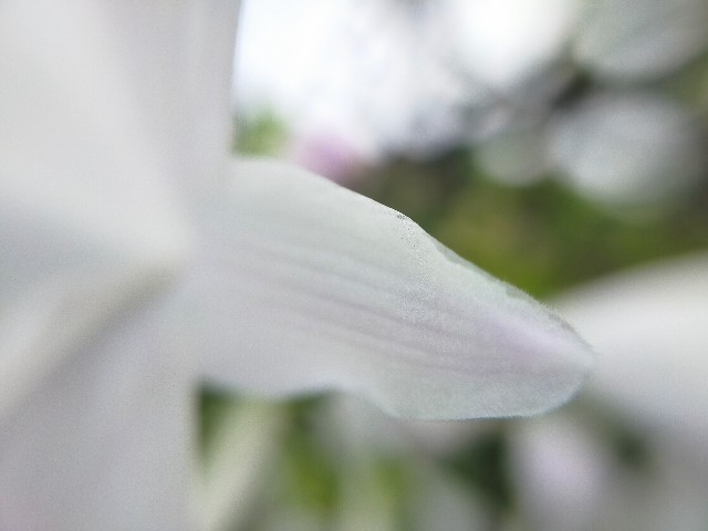 f:id:bluemoonbell:20220830102714j:image