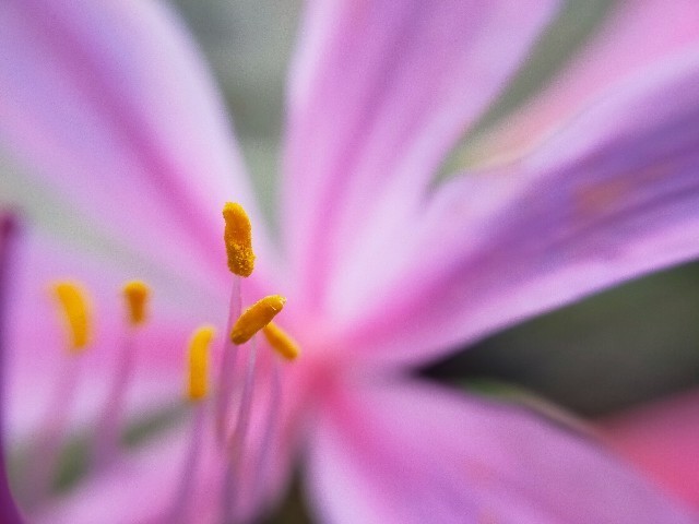 f:id:bluemoonbell:20220830120355j:image