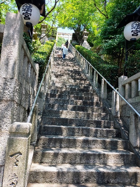 f:id:bluemoonbell:20221006112844j:image