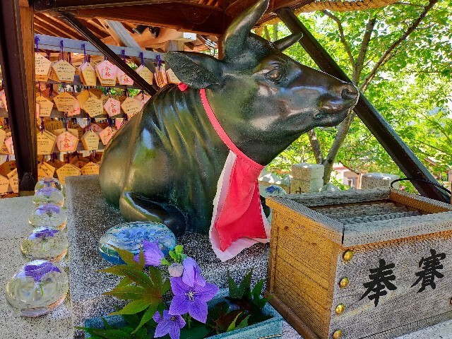 f:id:bluemoonbell:20221006113152j:image