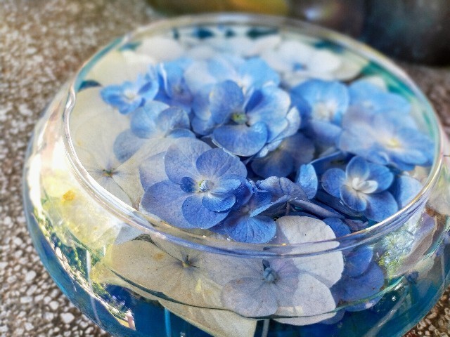 f:id:bluemoonbell:20221006113208j:image