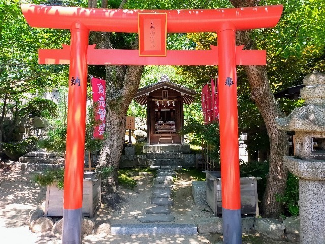 f:id:bluemoonbell:20221006113224j:image