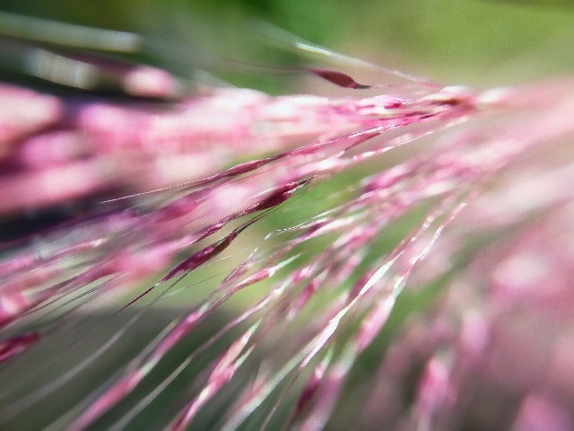 f:id:bluemoonbell:20221021210816j:image