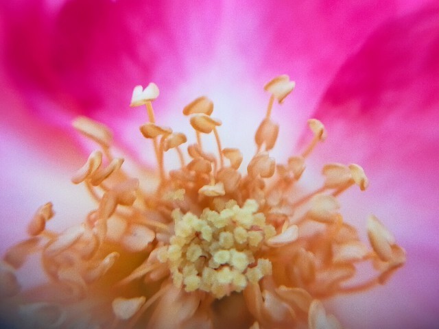 f:id:bluemoonbell:20221021210846j:image