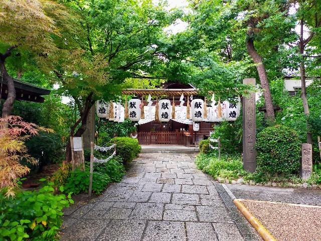 f:id:bluemoonbell:20221025213047j:image
