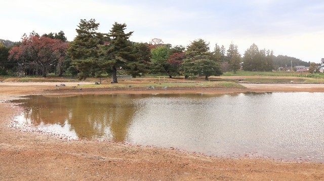 f:id:bluemoonbell:20221122091837j:image