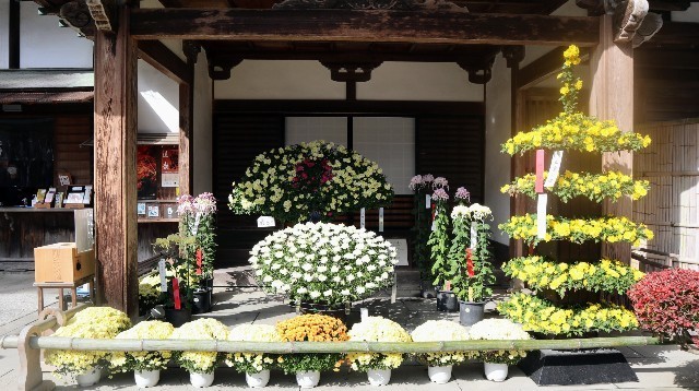 f:id:bluemoonbell:20221205073551j:image