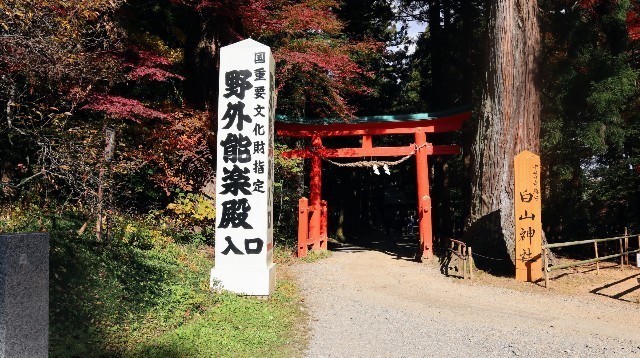 f:id:bluemoonbell:20221207074042j:image
