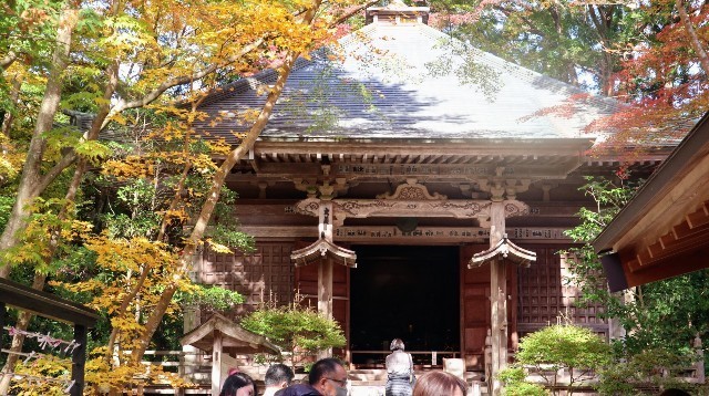 f:id:bluemoonbell:20221207074504j:image