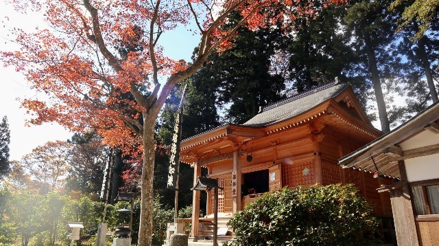 f:id:bluemoonbell:20221207074532j:image
