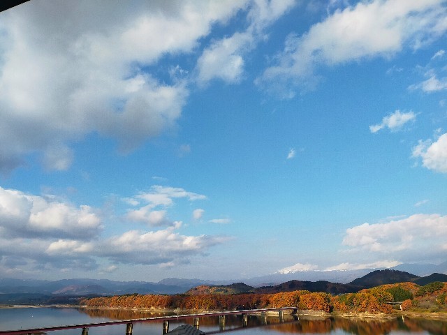 f:id:bluemoonbell:20221216083504j:image