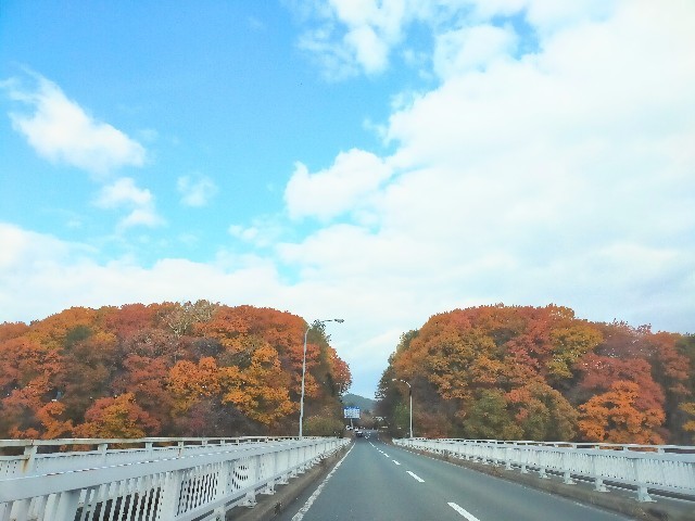 f:id:bluemoonbell:20221219085325j:image