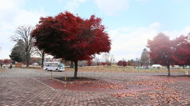 f:id:bluemoonbell:20221219085755j:image