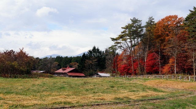 f:id:bluemoonbell:20221219090750j:image