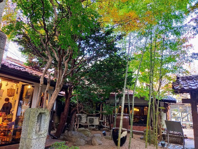 f:id:bluemoonbell:20221226104755j:image