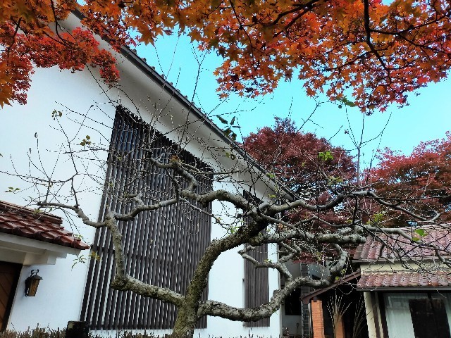 f:id:bluemoonbell:20221226104838j:image