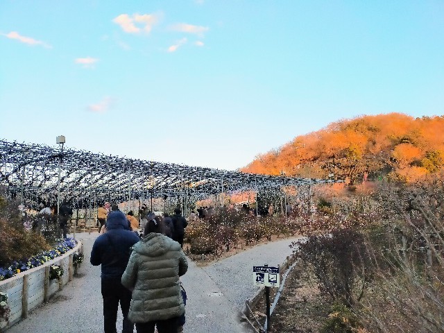 f:id:bluemoonbell:20230123111433j:image f:id:bluemoonbell:20230123111433j:image