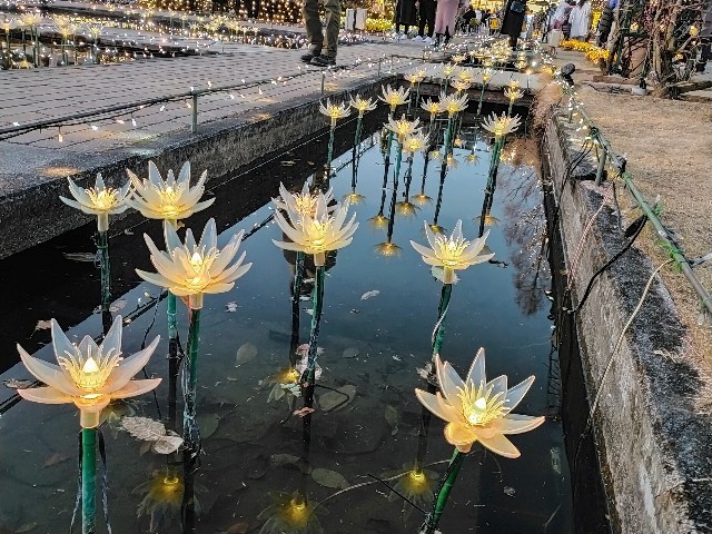 f:id:bluemoonbell:20230124090103j:image