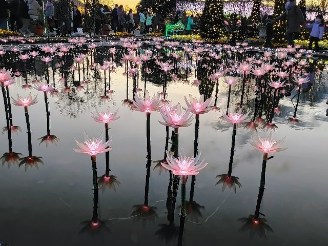 f:id:bluemoonbell:20230124090110j:image