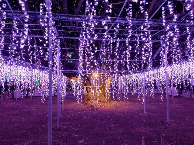 f:id:bluemoonbell:20230124090832j:image