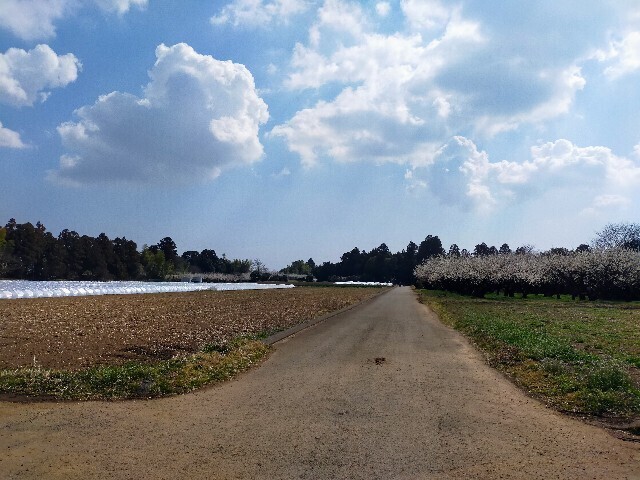 f:id:bluemoonbell:20230307145319j:image