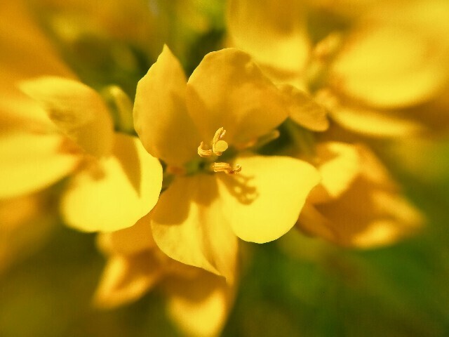 f:id:bluemoonbell:20230307145351j:image