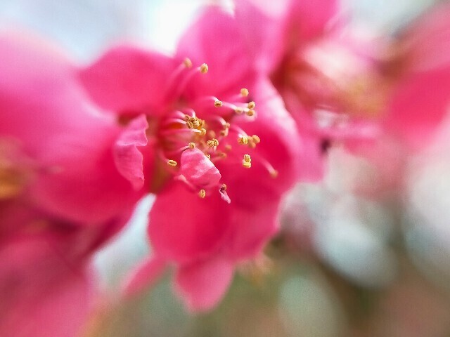 f:id:bluemoonbell:20230307145658j:image