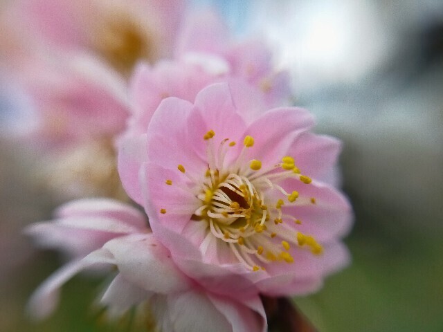 f:id:bluemoonbell:20230307145712j:image