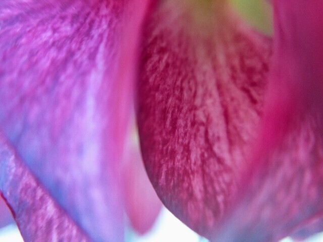 f:id:bluemoonbell:20230311094616j:image