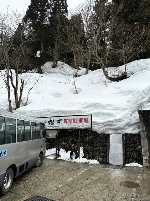 f:id:bluemoonbell:20230315110156j:image