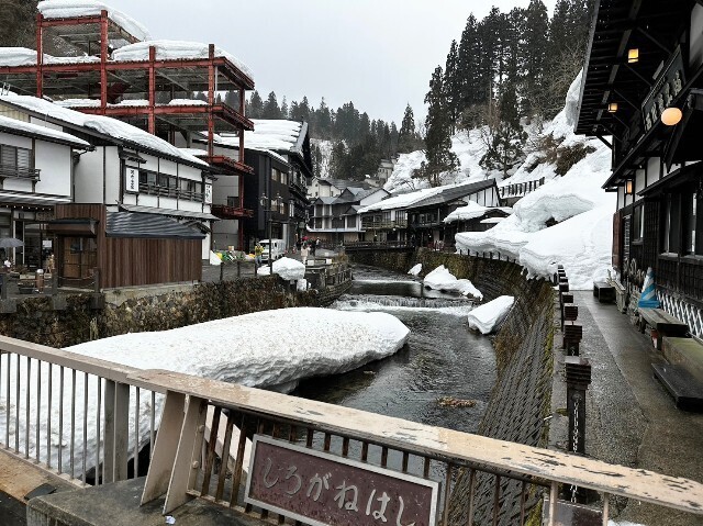 f:id:bluemoonbell:20230316115641j:image