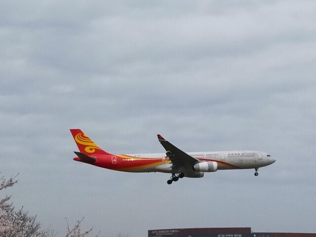 f:id:bluemoonbell:20230328081545j:image f:id:bluemoonbell:20230328081545j:image