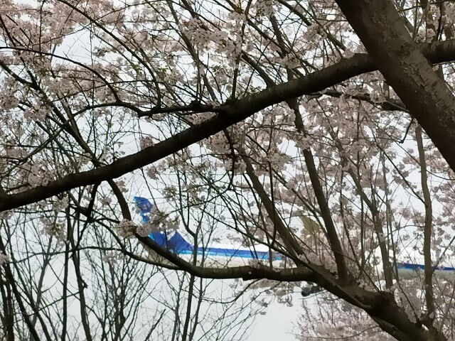 f:id:bluemoonbell:20230328081558j:image f:id:bluemoonbell:20230328081558j:image