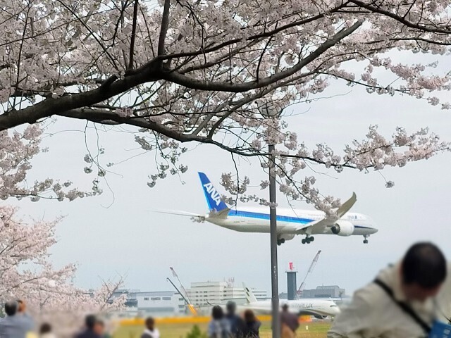 f:id:bluemoonbell:20230328081605j:image f:id:bluemoonbell:20230328081605j:image