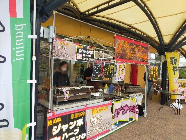 f:id:bluemoonbell:20230328082128j:image f:id:bluemoonbell:20230328082128j:image