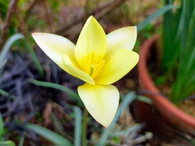 f:id:bluemoonbell:20230331082616j:image